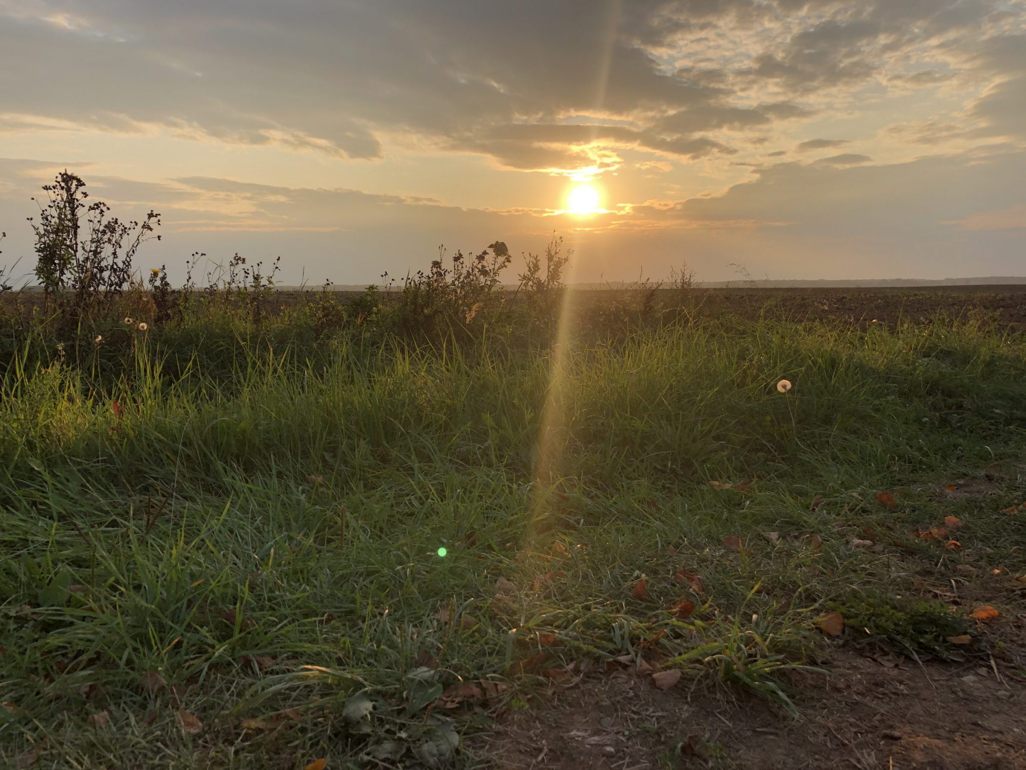 Sonnenuntergan auf einem Feld in der Nähe der Berges der Kreuze in Litauen