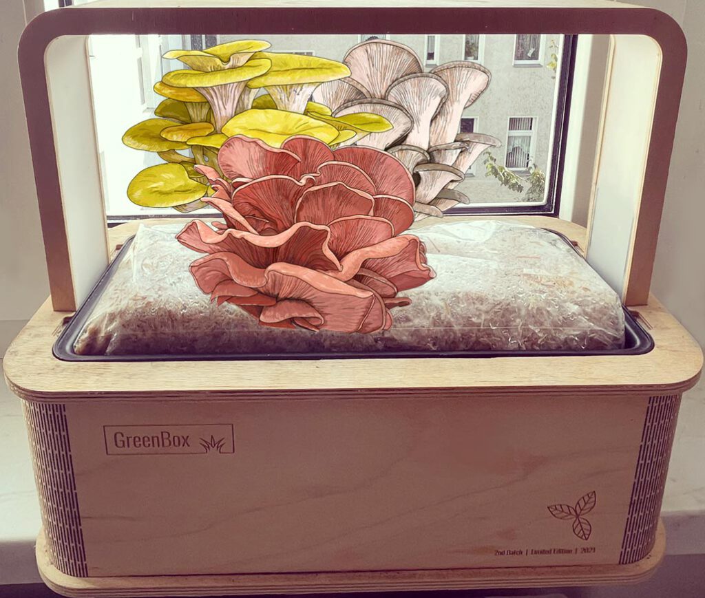 Pilzzucht Box im Smart Garden für Zuhause
